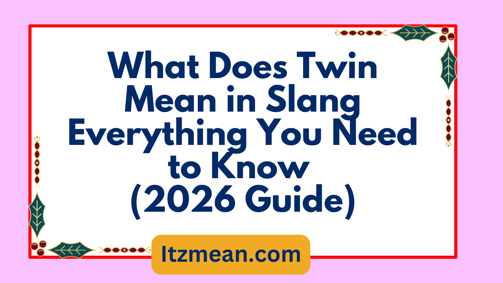What Does Twin Mean in Slang