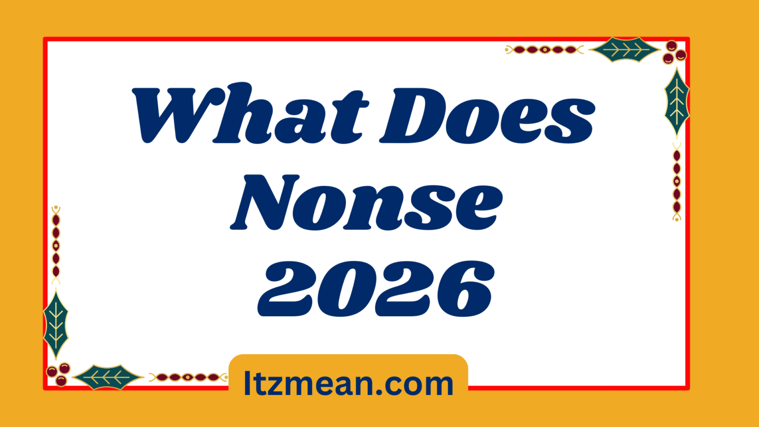 What Does Nonse Mean in Slang Everything You Need to Know (2026 Guide)