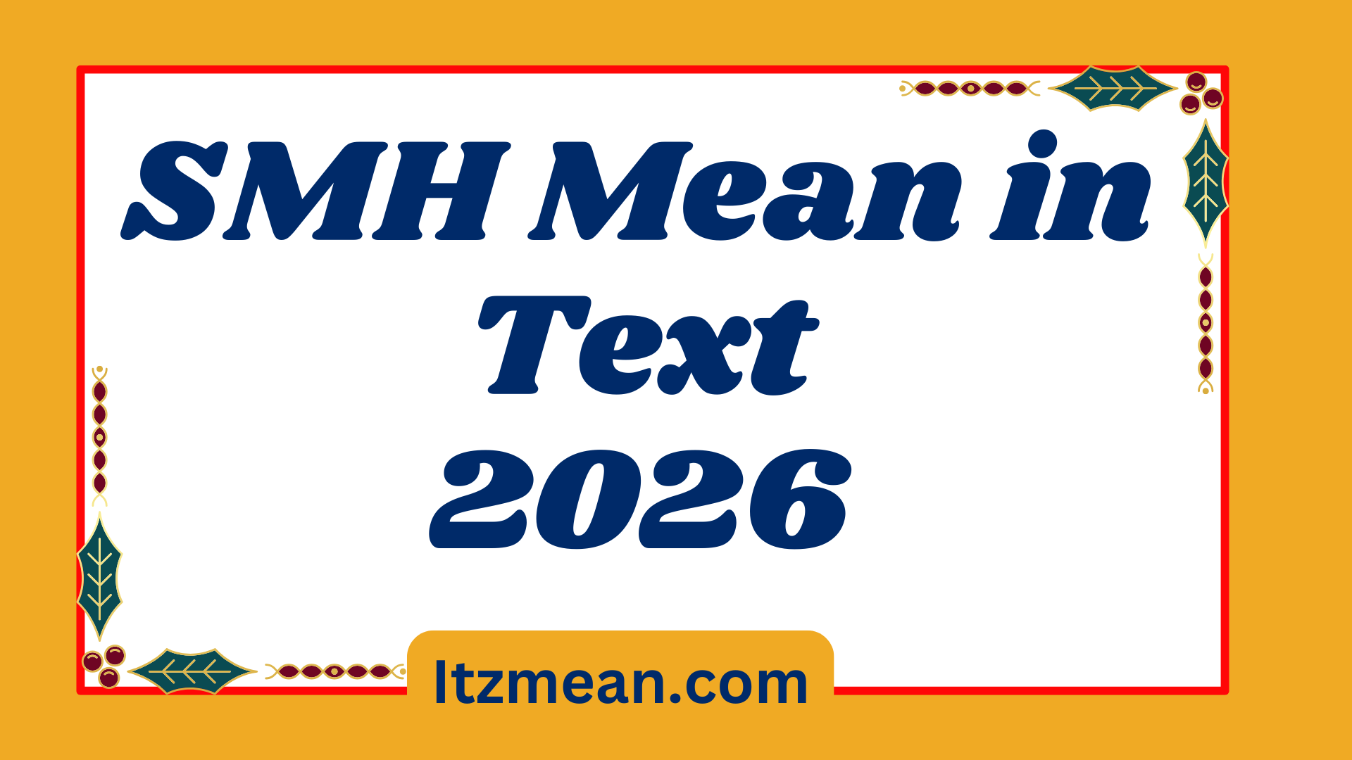 SMH Mean in Text Everything