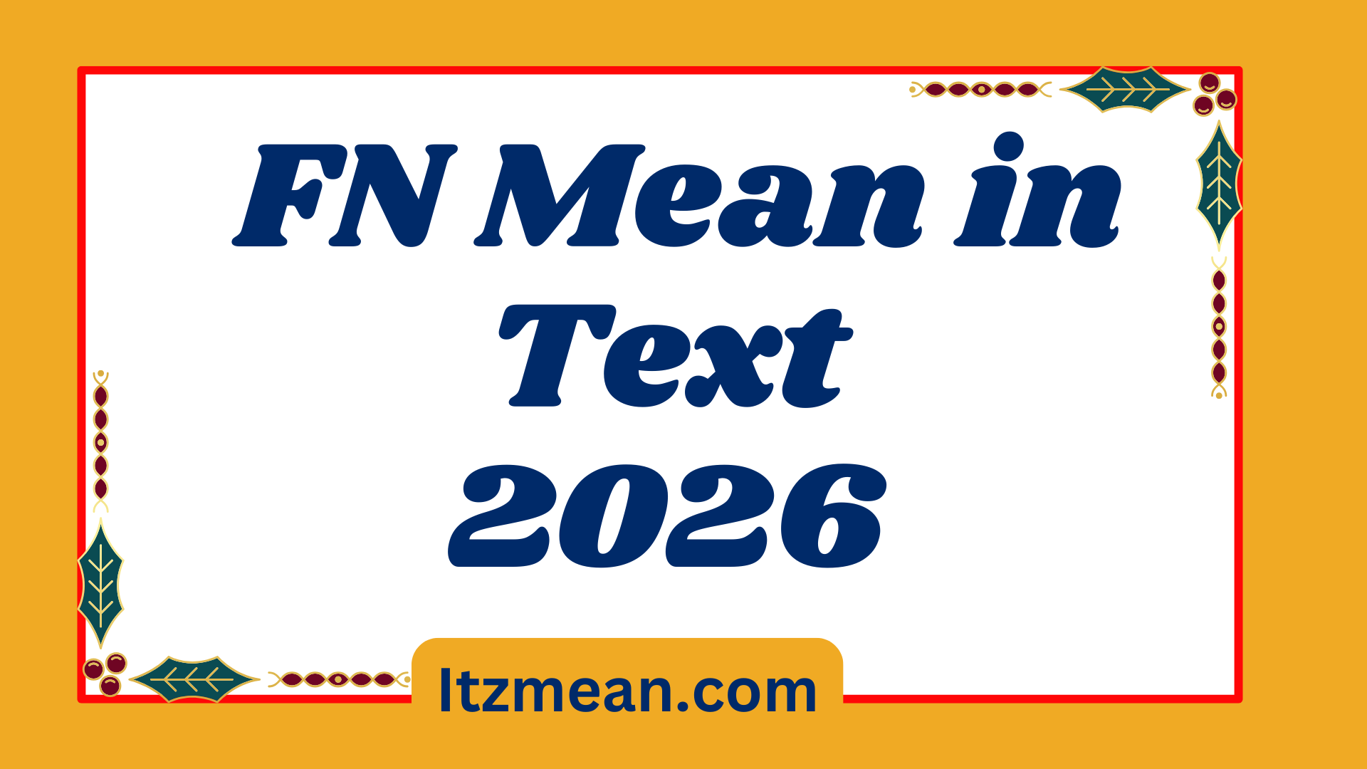 FN Mean in Text