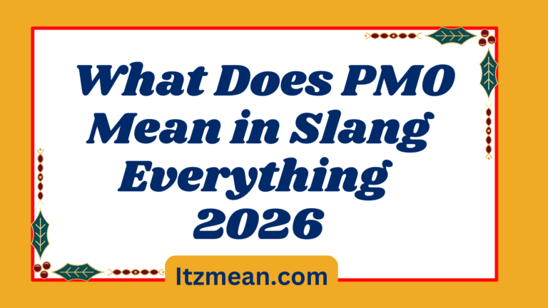 What Does PMO Mean in Slang Everything