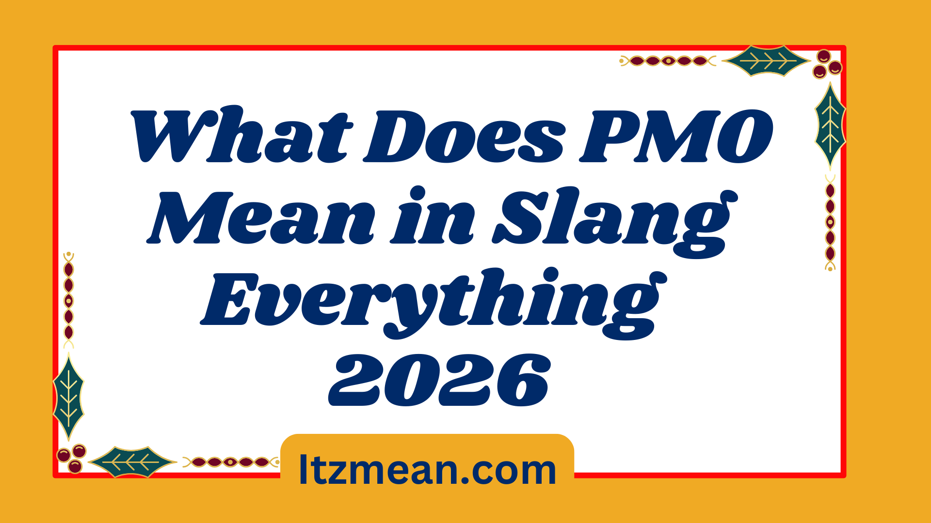 What Does PMO Mean in Slang Everything