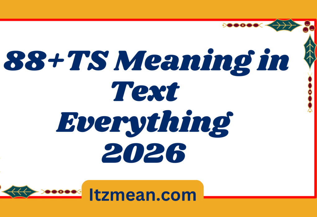 TS Meaning in Text Everything