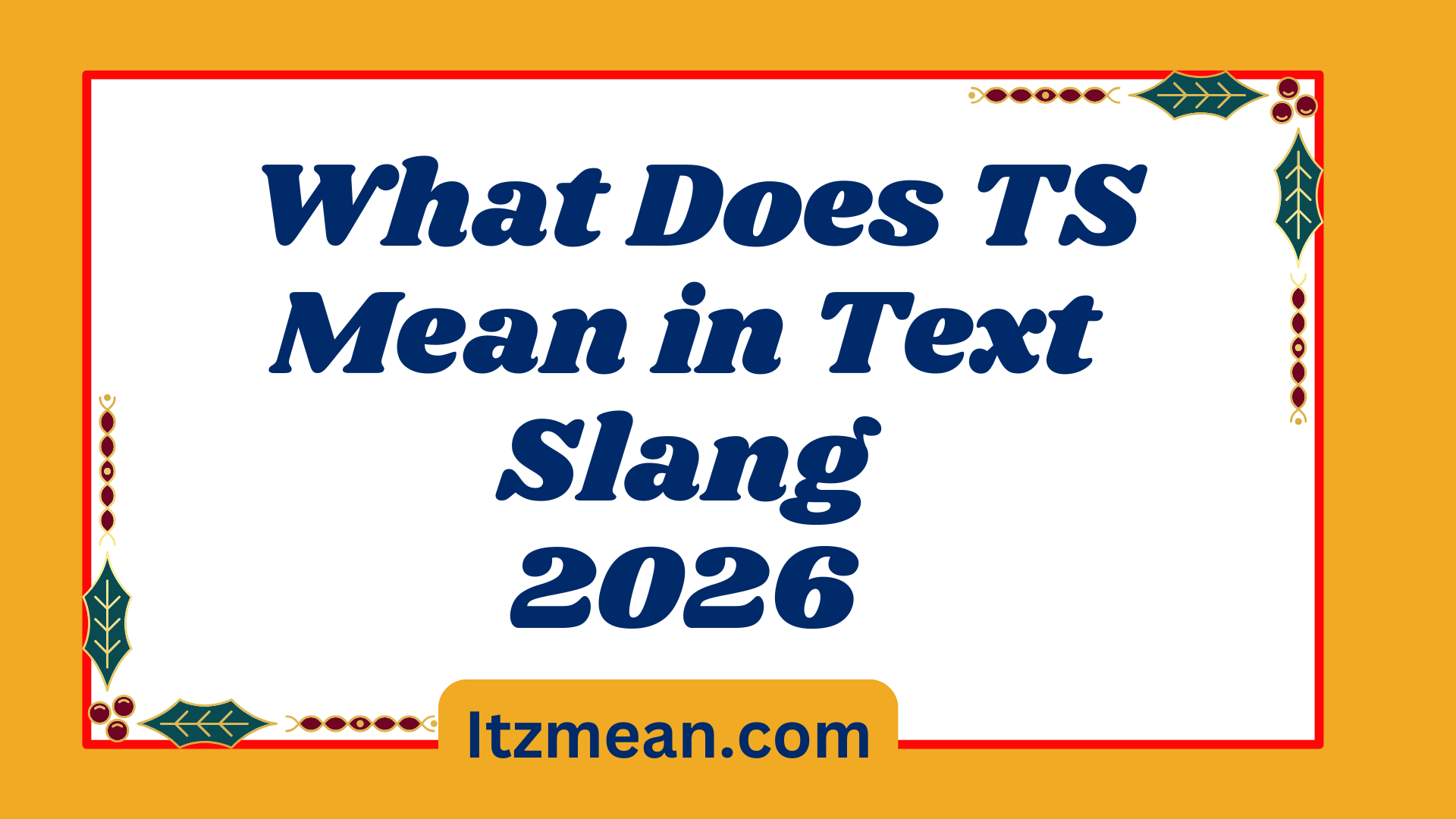 What Does TS Mean in Text Slang
