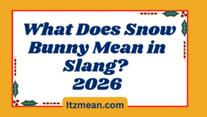 What Does Snow Bunny Mean in Slang?2026