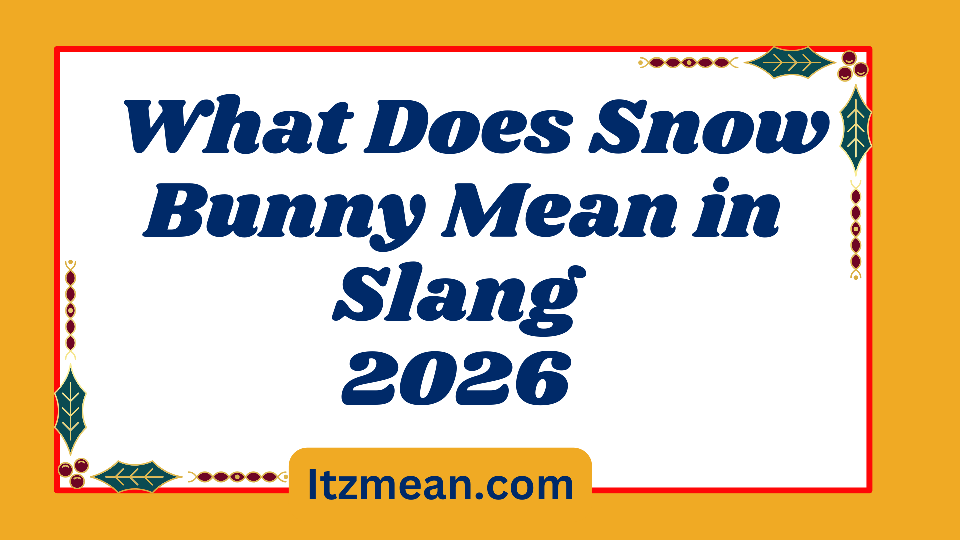 What Does Snow Bunny Mean in Slang