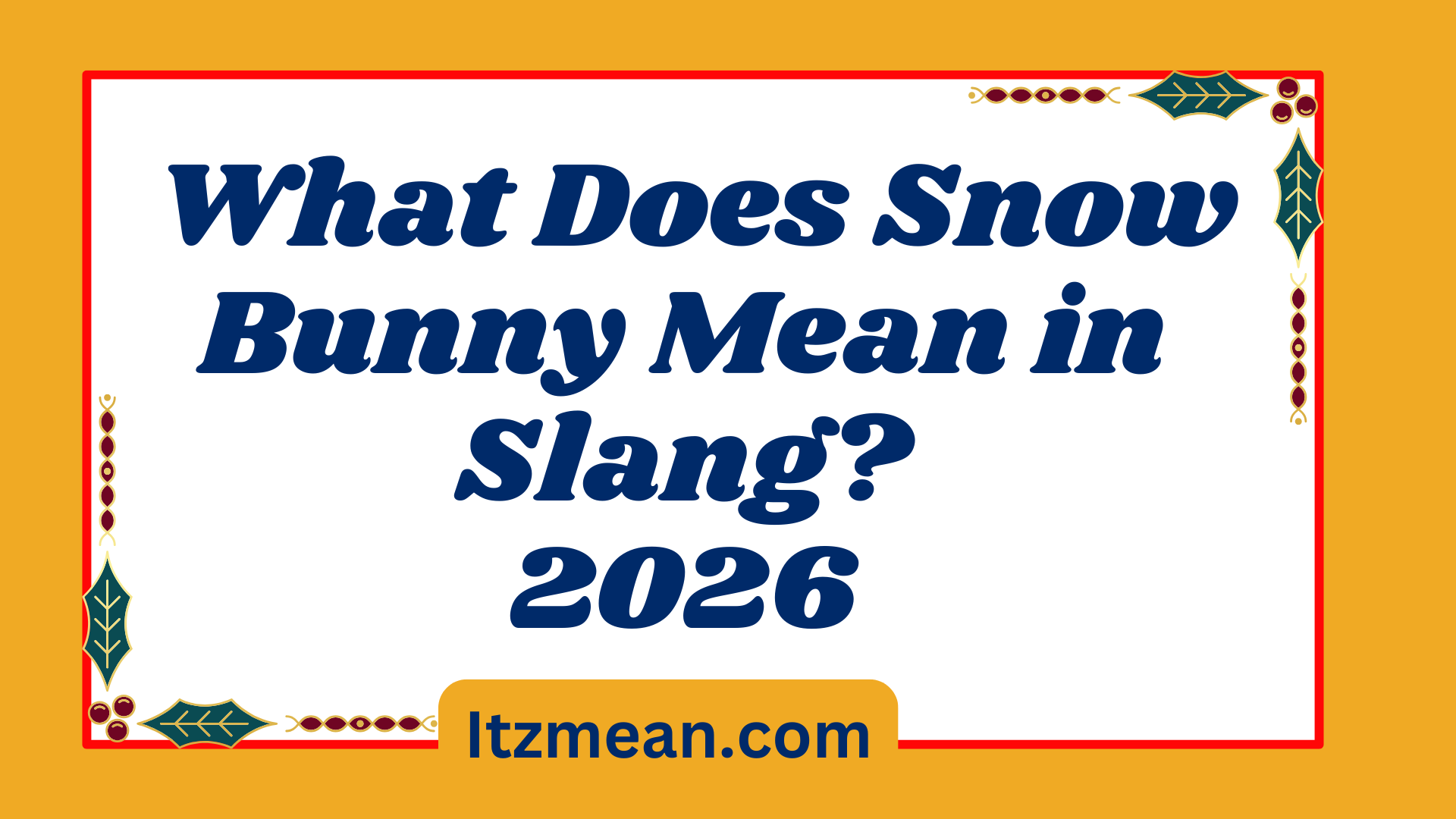 What Does Snow Bunny Mean in Slang