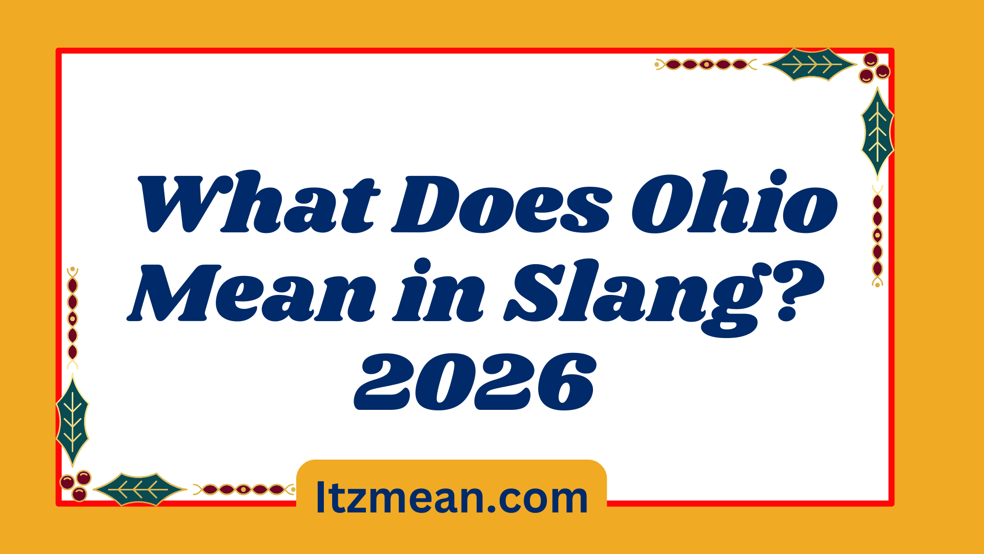 What Does Ohio Mean in Slang? 2026