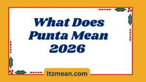 What Does Punta Mean in Text? Real Meaning, Examples & Social Media Use2026