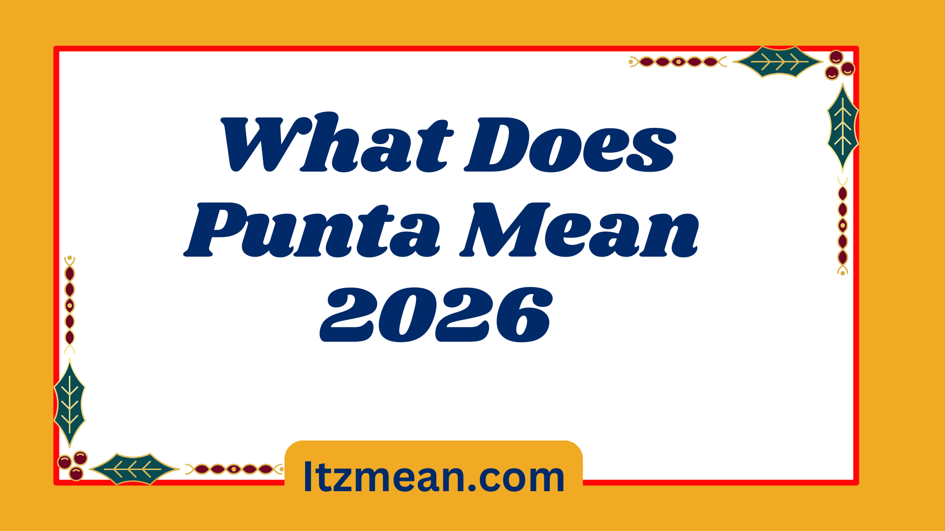 Punta Mean2026
