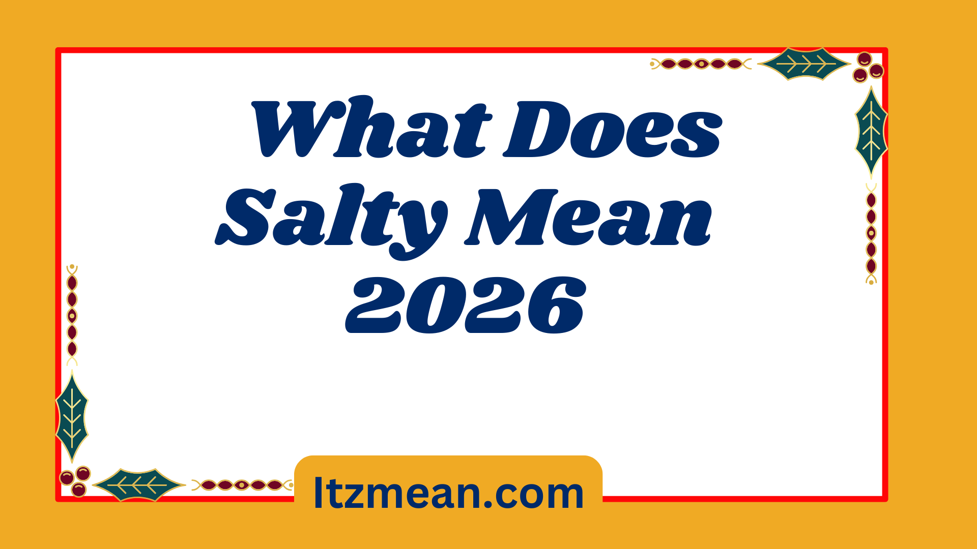 What Does Salty Mean2026