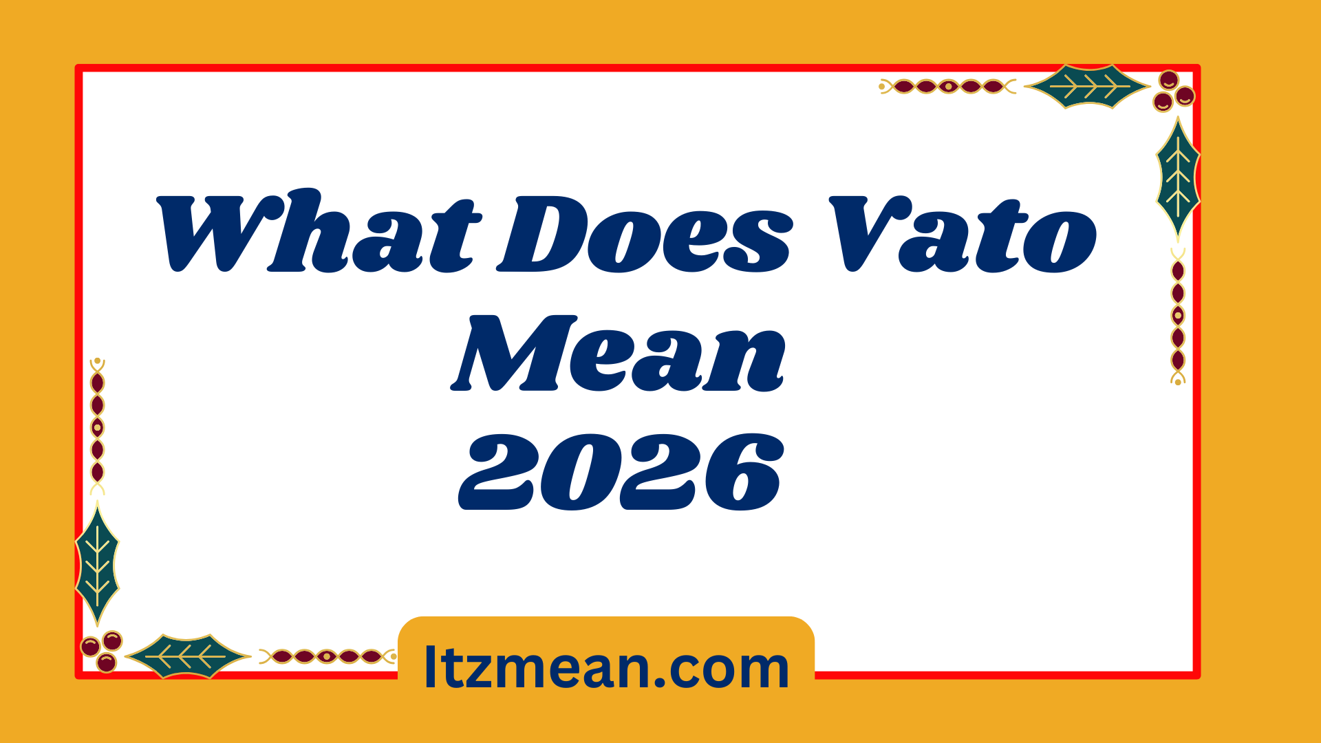 What Does Vato Mean2026